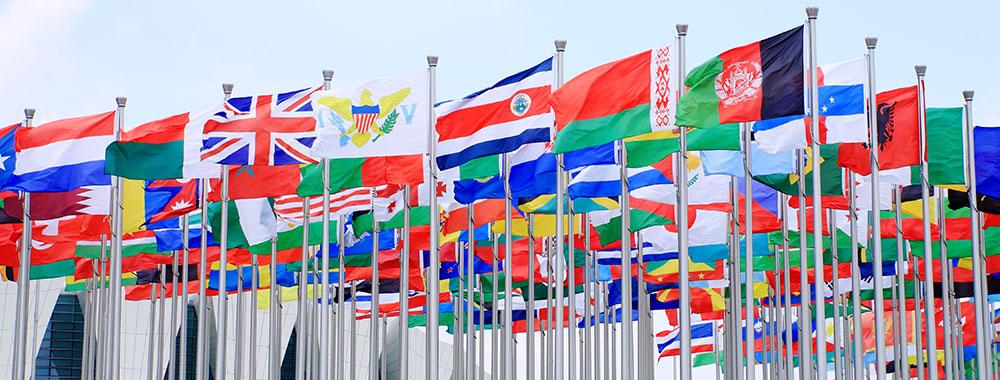 El paper de les organitzacions internacionals en la resposta a catàstrofes