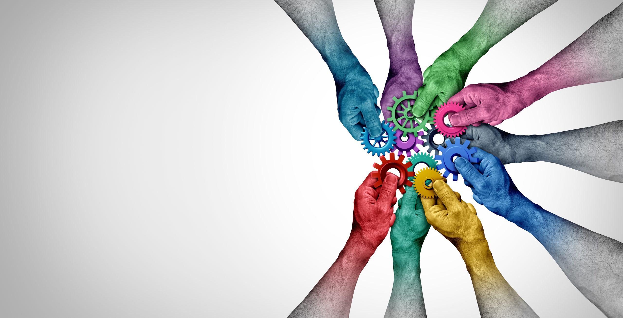 Creant una Cultura Inclusiva: Els Fonaments dels Espais Segurs